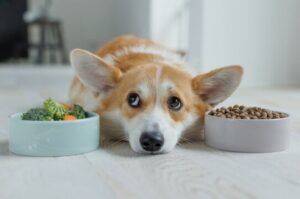 treat dog's constipation with leafy greens at home.