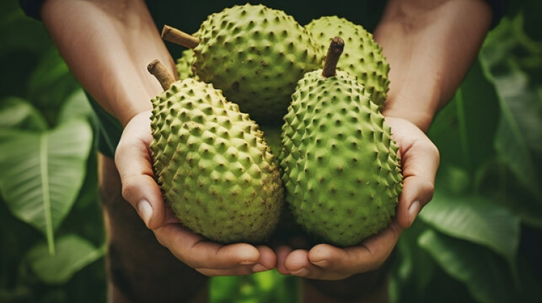 can-dogs-eat-soursop-petxyclopedia