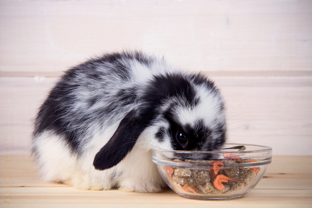 Rabbit-Friendly Easter Treats